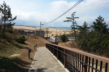 Path leading to the dunes