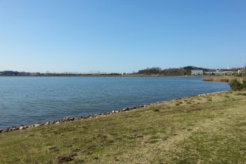 Lake Koyama