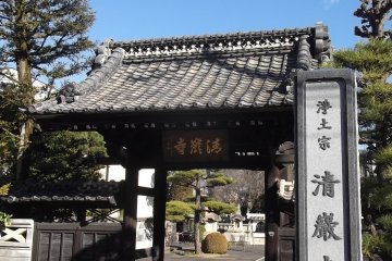 The gate from the street