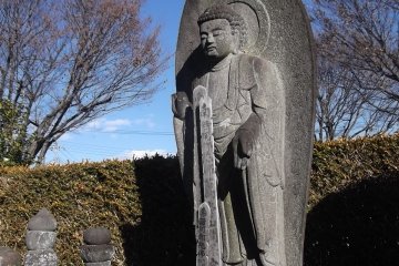 In the graveyard