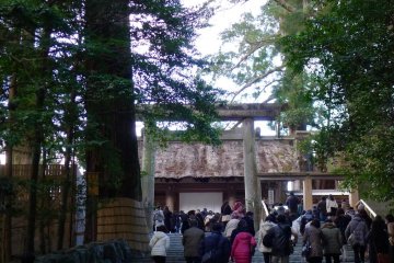 <p>La foule du Nouvel An se dirige vers Naiku, le sanctuaire d'Amaterasu</p>
