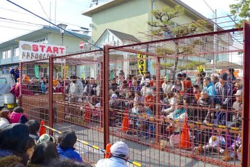 People pack in to see the show.
