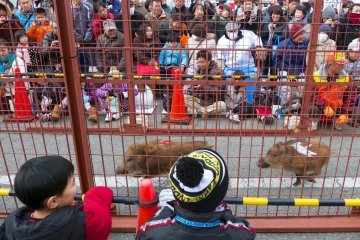 Children and adults alike were happy spectators.
