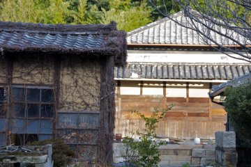 At one time over 5000 people lived on Inujima. Today, there are only just over 50.
