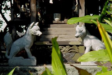 Many temples have clever little foxes protecting them