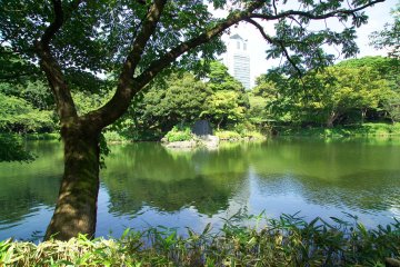 提供給東京旅客的導覽旅遊