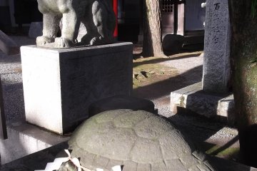 A turtle, a lion and a red torii gate