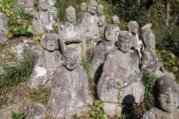 Basking in the sun on their hillside