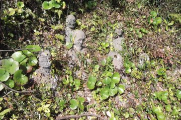 Landslides and overgrowth are a danger