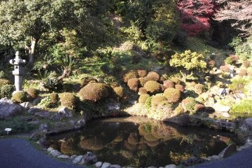 The garden to the rear of the temple buildings