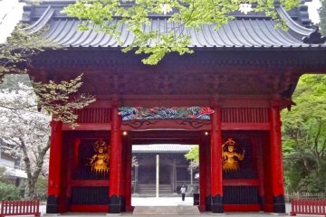 วัดเมียวฮอน-จิ คามาคุระในฤดูใบไม้ผลิ