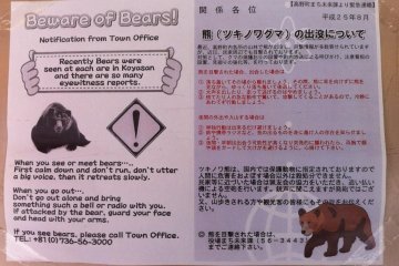 "Beware of Bears"