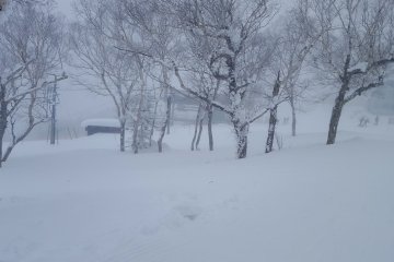 No shortage of powder on the upper-mountain.