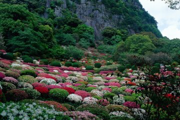 Mifuneyama Rakuen