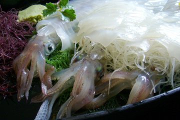Cumi-cumi hidup di Yobuko
