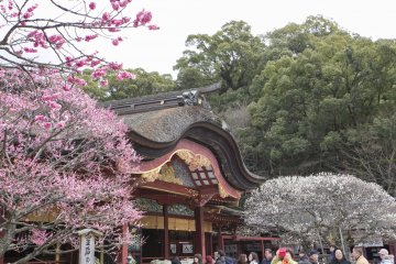 Dazaifu Tenmangu 