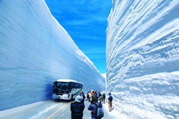 The snow road 
