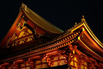 Lights illuminate the roof beautifully
