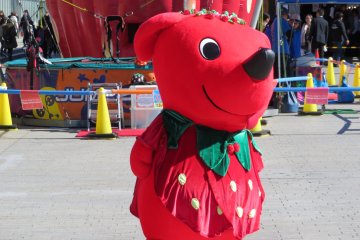 Mascot for 2017 Strawberry Festival