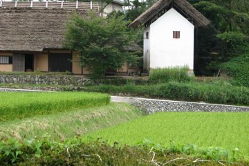 view from the villa
