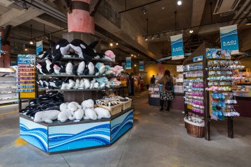 The gift shop at Kamogawa Sea World