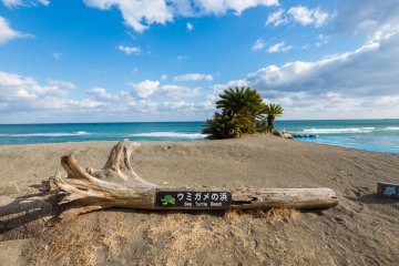 These sands are used to protect sea turtle eggs when necessary