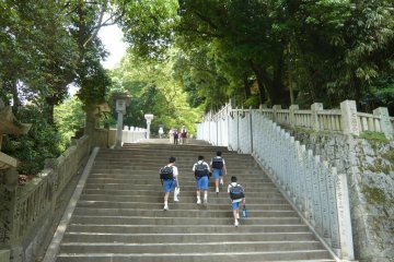 More school children