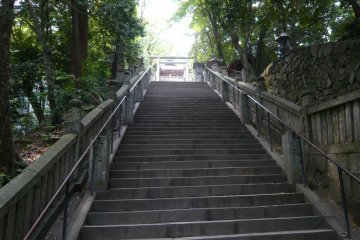 Final ascent