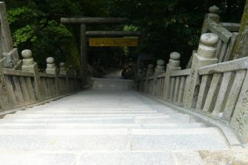 The walk back