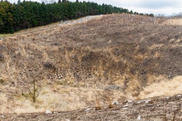 One of the region's larger sinkholes
