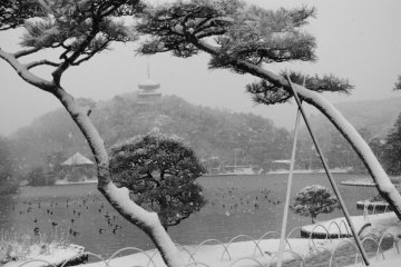 สวน Sankei-en แห่งโยโกฮาม่า ท่ามกลางหิมะ