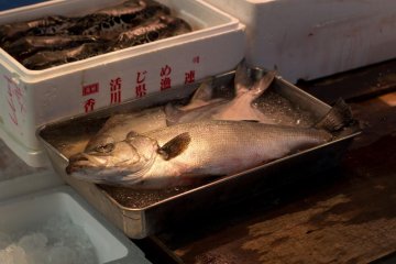 築地魚巿場 [結束]