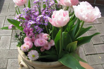 Flowers' composition