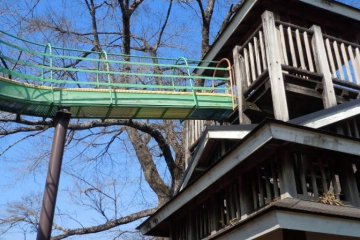 The top of the slide, in a fort. Huge cherry tree behind