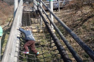 Getting to the top of the slide is fun too!