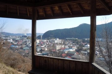 View from picnic shelter, February