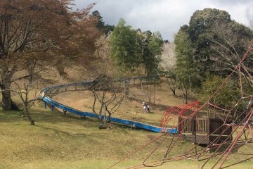 100 m de descente !