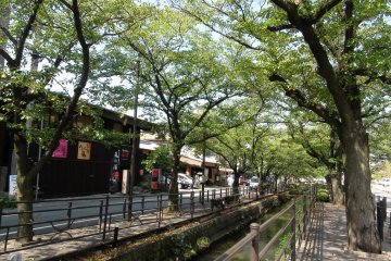 Kanal di Isawa Onsen. Tampak sangat cantik ketika pepohonannya sudah mekar, namun sayangnya saya tidak mendapatkan foto itu...