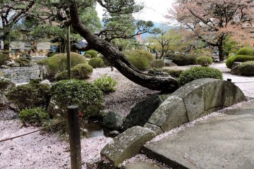 Bunga sakura di Kuil Enriji