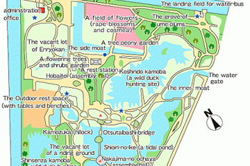 <p>Le plan du jardin</p>
