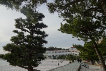 Strolling along the promenade