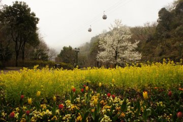 <p>Shin-Kobe Ropeway</p>