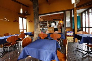 A tree growing literally through the restaurant is a nice feature.