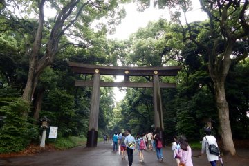 At the entrance of the Meiji-jingu you can find a traditional Japanese gate, also called "torii". It's one of the largest torii in Japan.