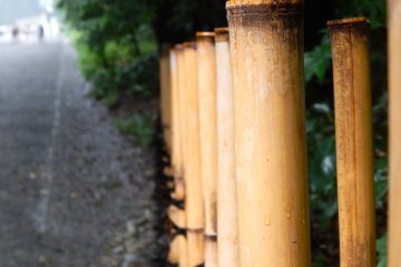 A close-up of the bamboo fence.