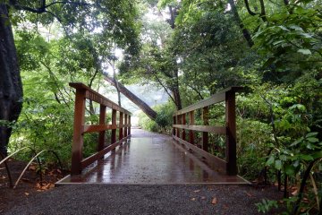 Inside the park is an Inner Garden (additional fee!), which is worth exploring. It's a calm and green place with a lot of botanical highlights. 