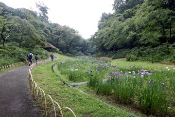 This was taken while walking around the Inner Garden.