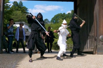 These locals paid to have the chance to walk the castle grounds as ninja