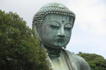 Calm Daibutsu