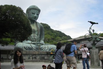 Approaching the Great Buddha